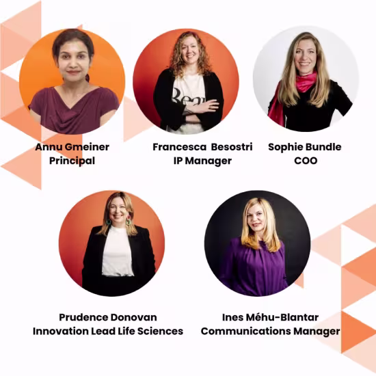 new team members of XISTA